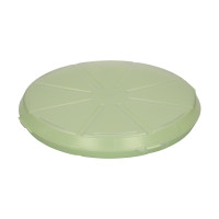 geselliges grün/transparent